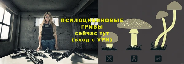 дживик Тутаев