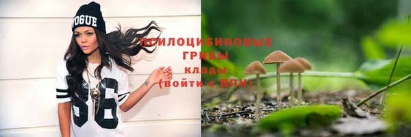 ешки Алзамай