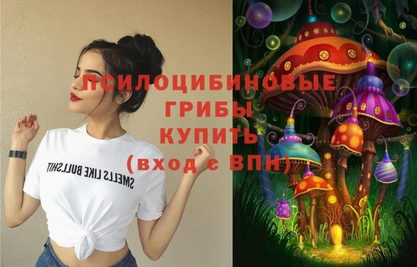 дживик Тутаев
