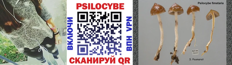 Галлюциногенные грибы прущие грибы  блэк спрут рабочий сайт  Орёл  как найти  